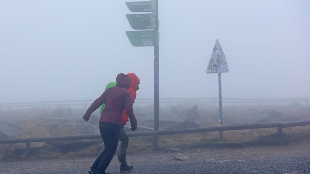 Wanderer stemmen sich auf dem Brocken gegen den Wind.