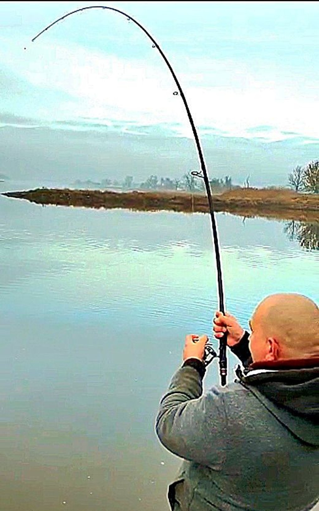 Gigantischer Fang: Unglaublich! Rekord-Wels aus der Elbe bei Stendal  geangelt