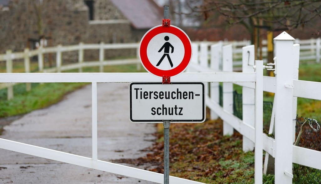 Ein Schild verweist am Eingang zu einer Gänsezucht im sächsischen Wermsdorf auf den Tierseuchenschutz.