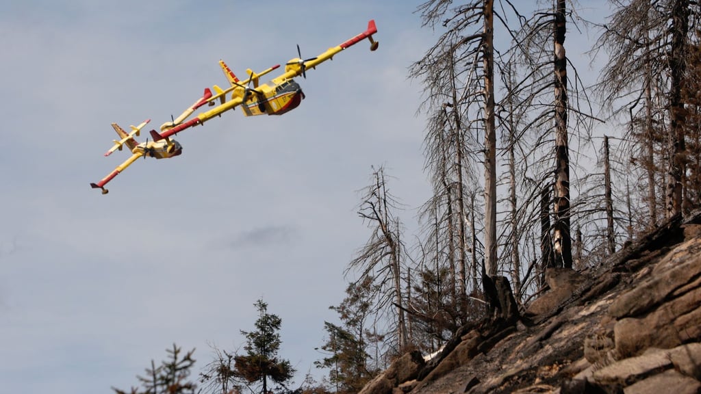 Flugzeuge der italienischen Feuerwehr fliegen über ein Einsatzgebiet am Brocken.