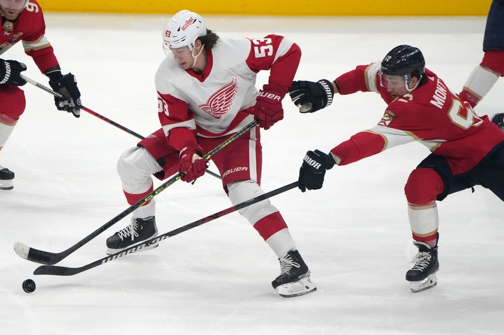 Moritz Seider spielt in der NHL für die Detroit Red Wings.