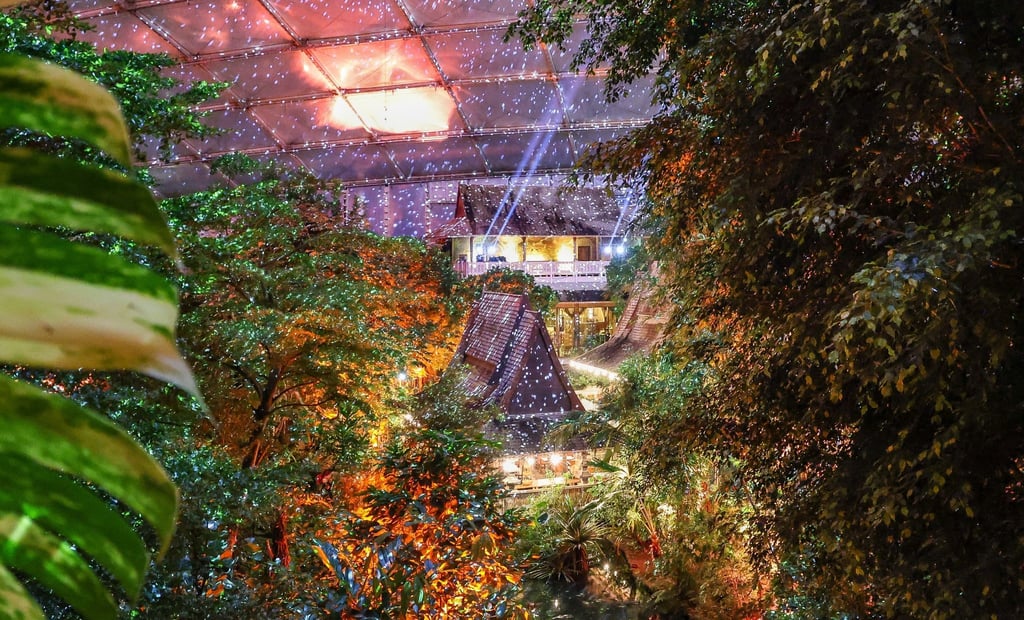 Im Leipziger Zoo leuchtet die Tropenhalle