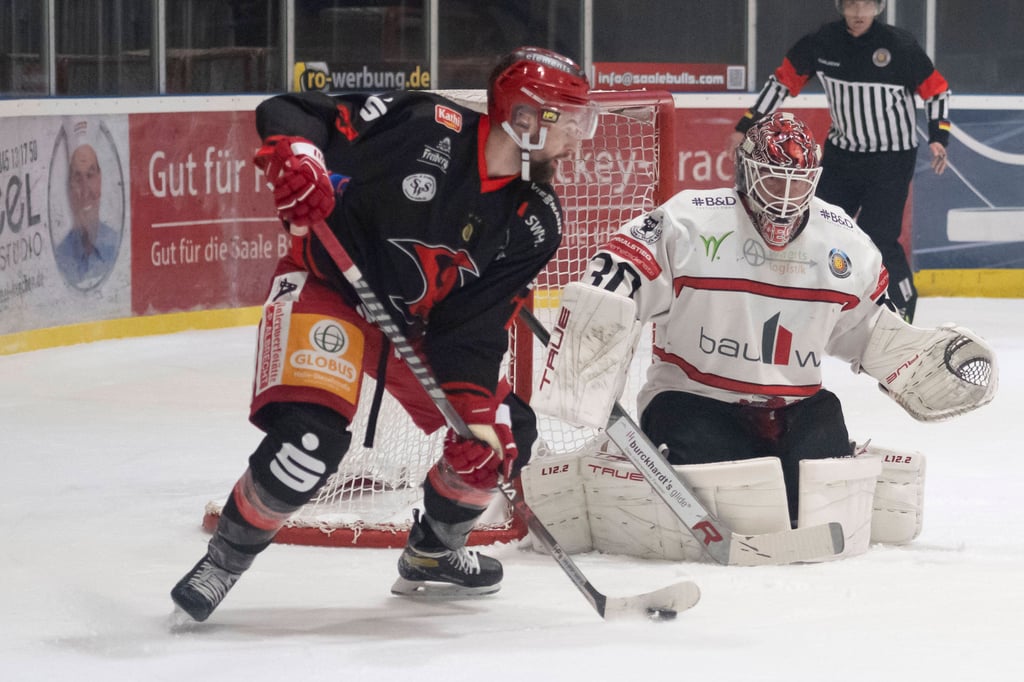 Die Saale Bulls sind am Dienstgabend bei den Hannover Scorpions gefordert.