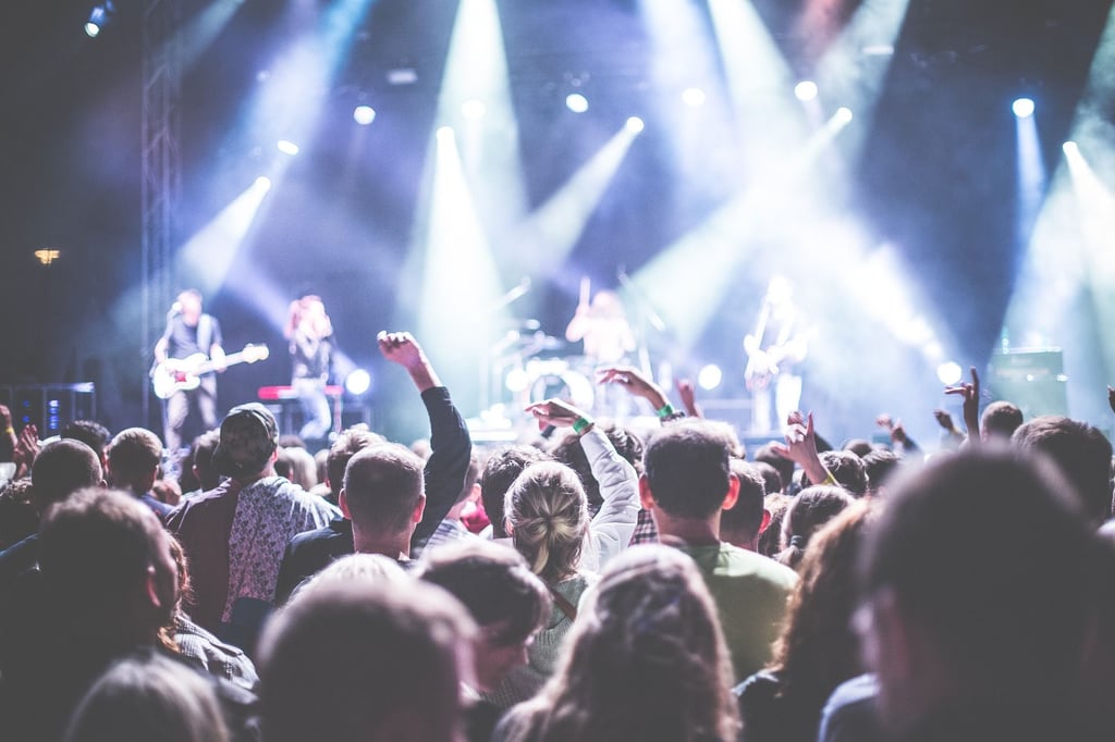 Für die 21. Fete de la musique werden Musiker aller Art und Veranstalter, die mit eigenen Bühnen an dem größten nichtkommerziellen Musikfest von Magdeburg teilnehmen wollen. Symbolbild: