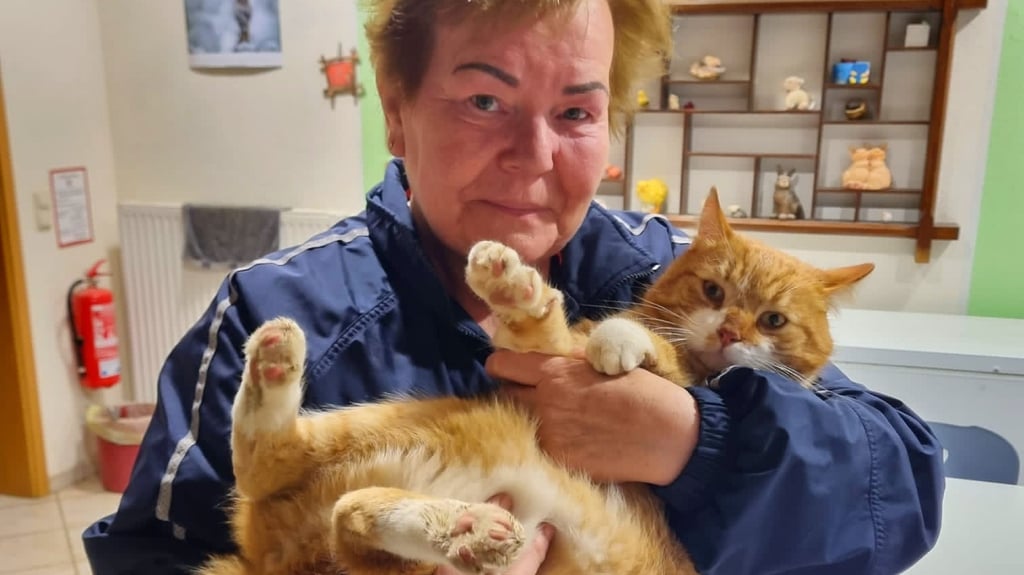 Kater Karli aus dem Tiepark Walbeck ist zurück. Leiterin Marlies Stock holte das Tier in Sandersleben (Anhalt) ab.