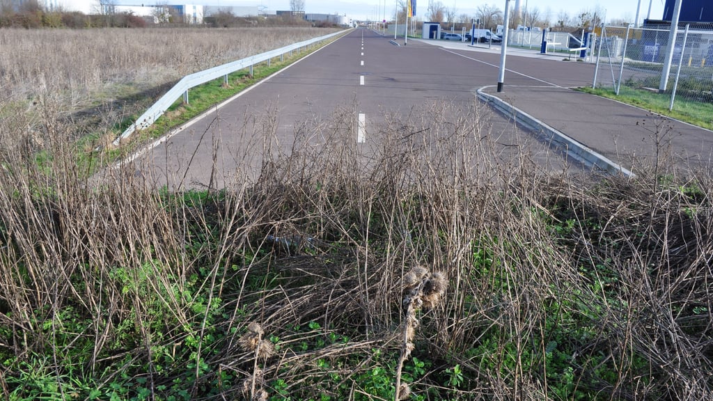 Ende im Gelände: Die Grabower Straße im Gewerbegebiet Nord in Magdeburg endet bislang kurz hinter der Einfahrt zum Logistiker Dachser an einem Erdhaufen.