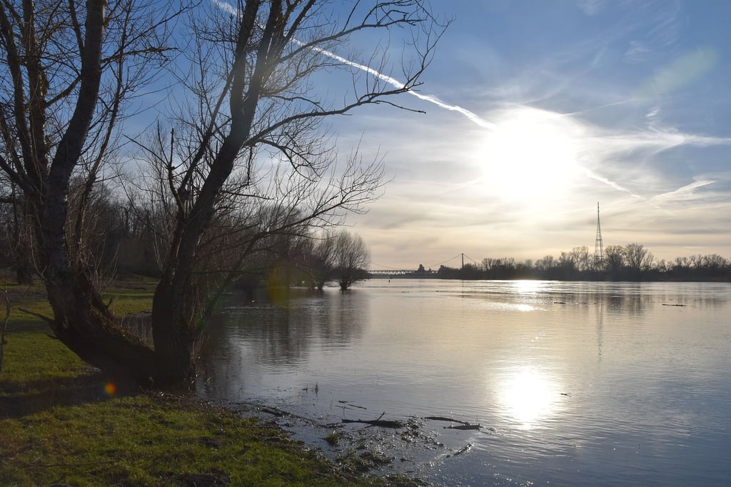 Ein riesiges Tankschiff aus einer tschechischen Werft wird am Freitag auf der Elbe in Magdeburg gelotst. Symbolbild: