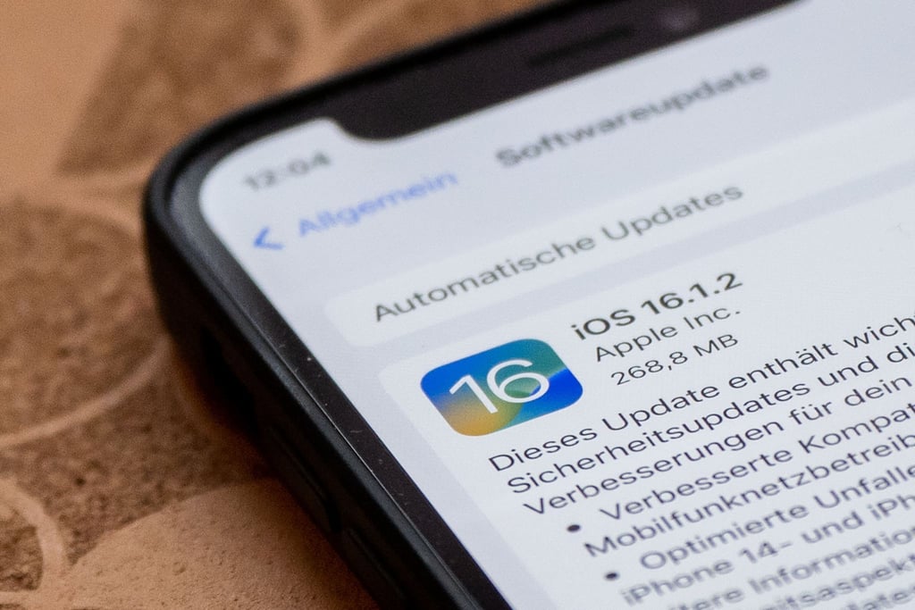 Das Update auf iOS 16.1.2 ist 268,8 Megabyte groß: iPhone-Besitzerinnen und -Besitzer sehen direkt alle Infos zur Aktualisierung.