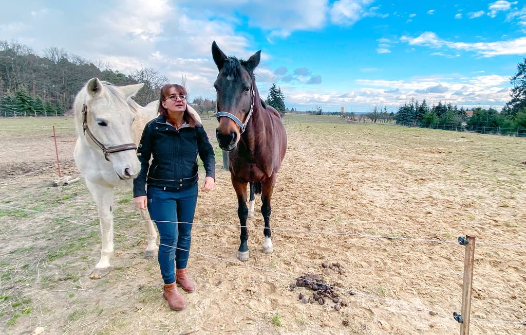 Mit dem neuen Reitpllatz im Hintergrund besucht Astrid Gronewold auf ihren Heidereiterhof in Jessen Trakehnerstute „Incars Tochter“ (re.), von der sie sich ein Fohlen erhofft, und Neuanschaffung „Let’s Dance“, ein Deutsches Sportpferd, das zum Schulpferd ausgebildet werden soll.