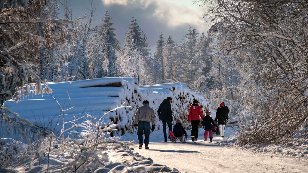 Zwischen Elbingerode und Drei Annen Hohne genießen Touristen und Ausflügler die Landschaft. Bisher hielt sich der Winter mit wenigen Gastspielen allerdings sehr in Grenzen. Spiegelt sich die Schnee-Unsicherheit im Buchungsverhalten der Urlauber wieder?
