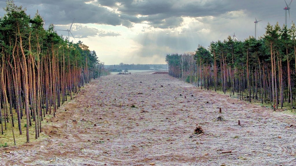 Blick auf die A 14-Schneise im Wald zwischen Osterburg und Storbeck.