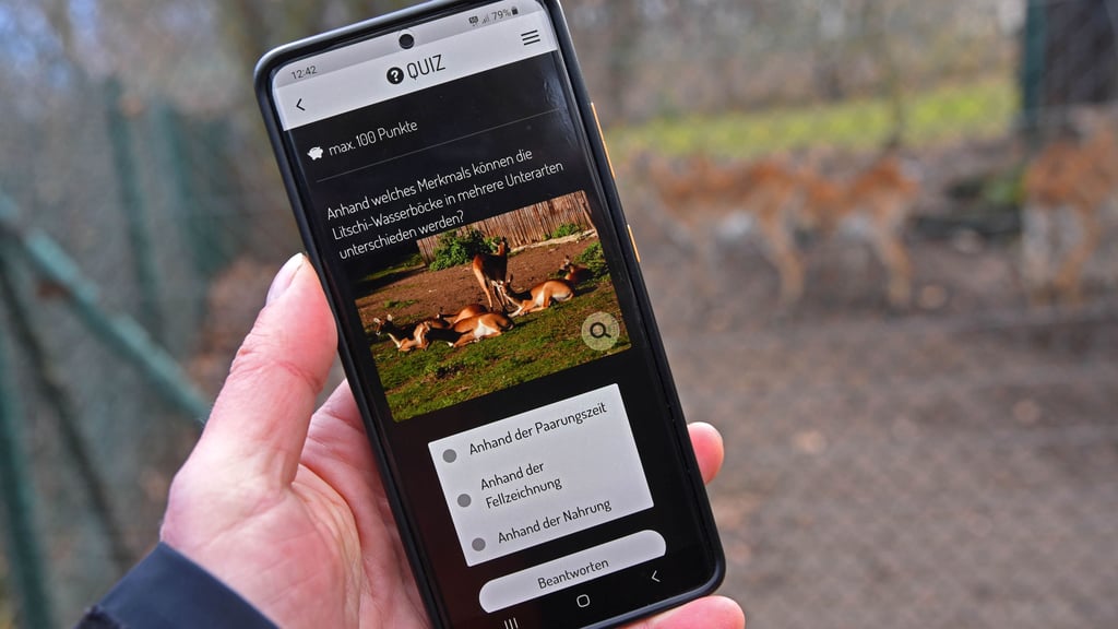 Über einen QR-Code gelangen die Besucher auf ihrem Smartphone zur „Actionbound“-App. Für jede richtige Antwort gibt es im Spiel 100 Punkte.