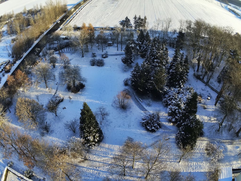Symbolfoto - Blick auf das Arboretum in Annarode.