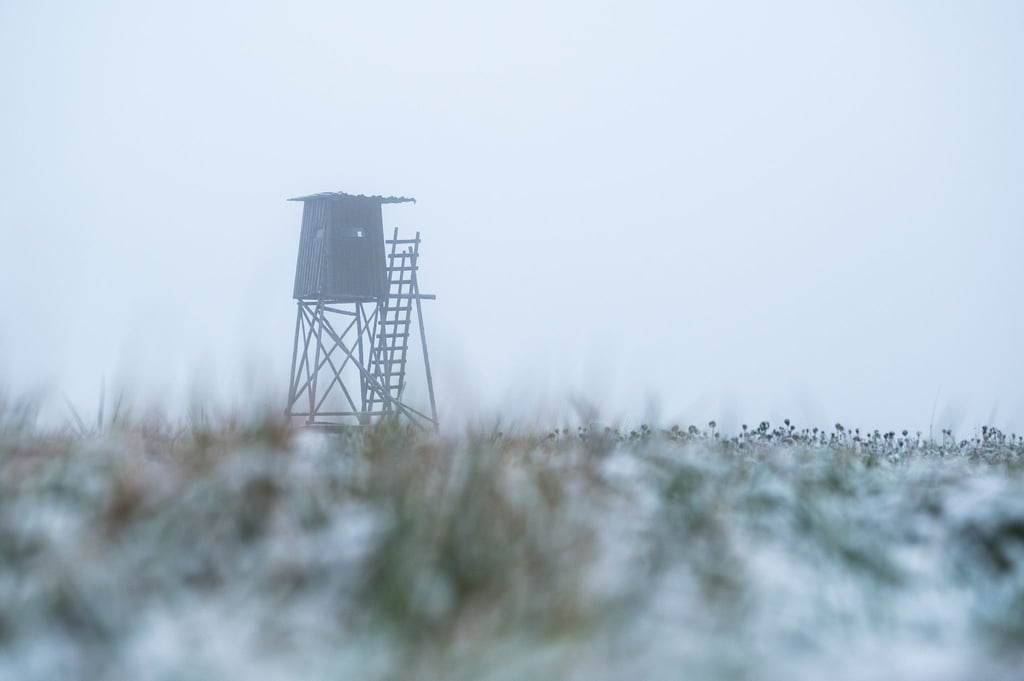 Ein Hochsitz ist im Morgennebel neben einem Feld zu sehen.