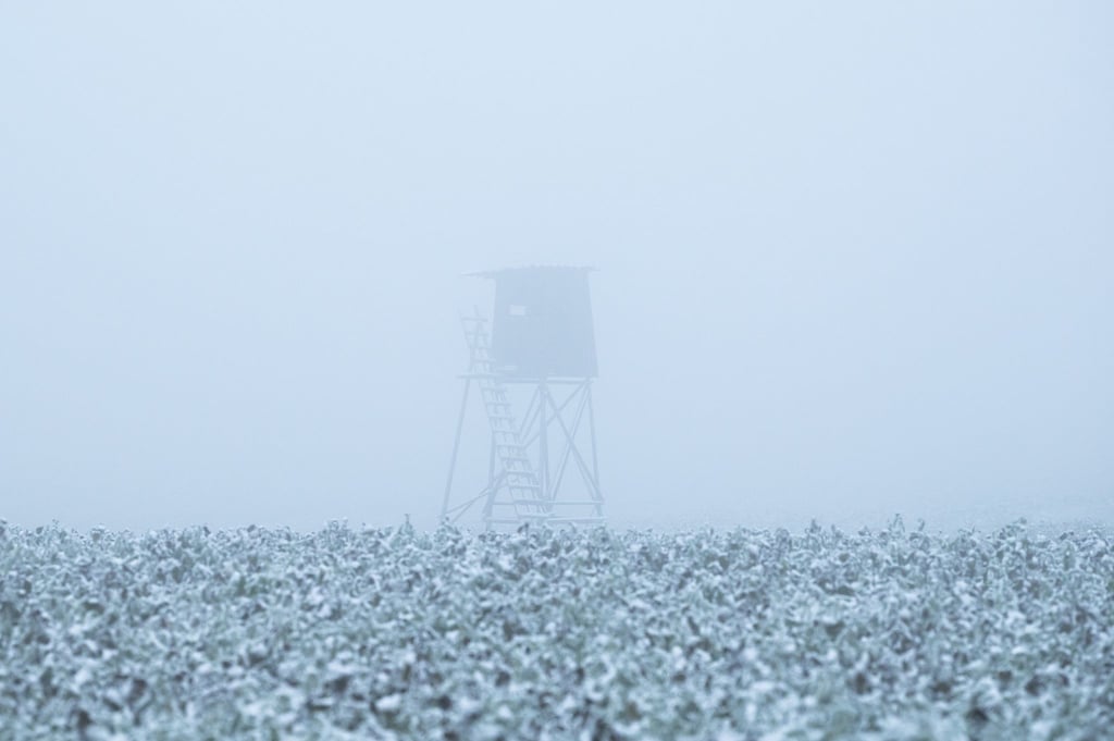 Ein Hochsitz ist im Morgennebel neben einem Feld zu sehen.