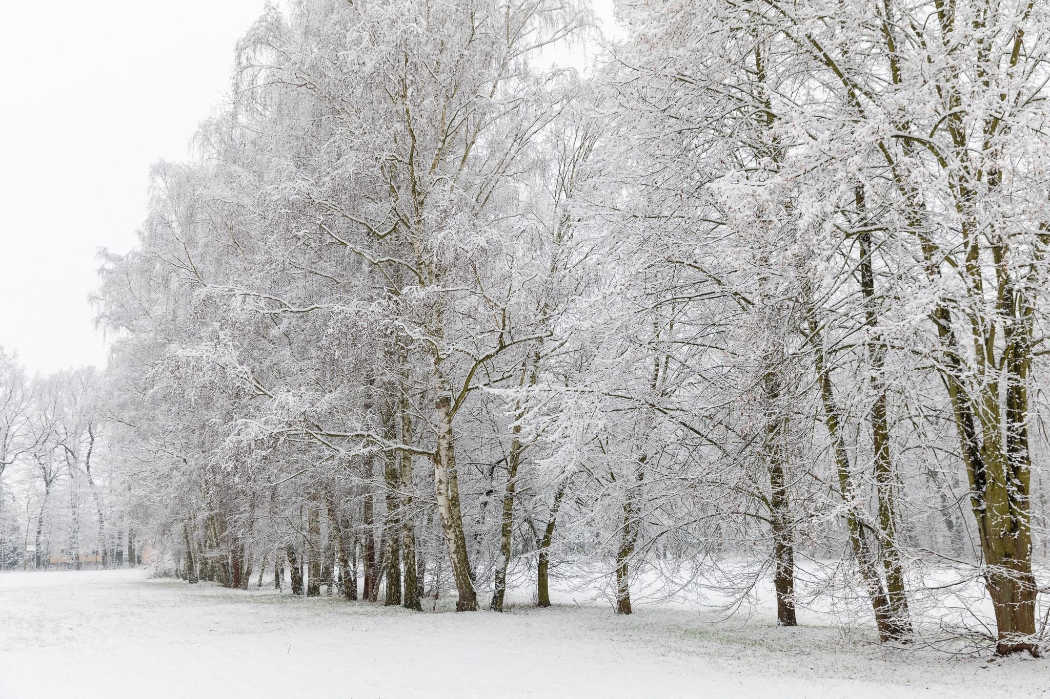 Wetter: Viel Schnee sorgt für Stromausfälle in Südbrandenburg