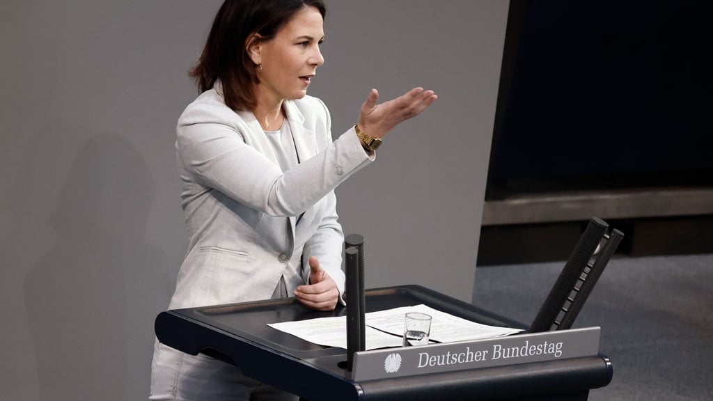 Außenministerin Annalena Baerbock äußerte sich zu Leopard-Lieferungen anderer Länder.