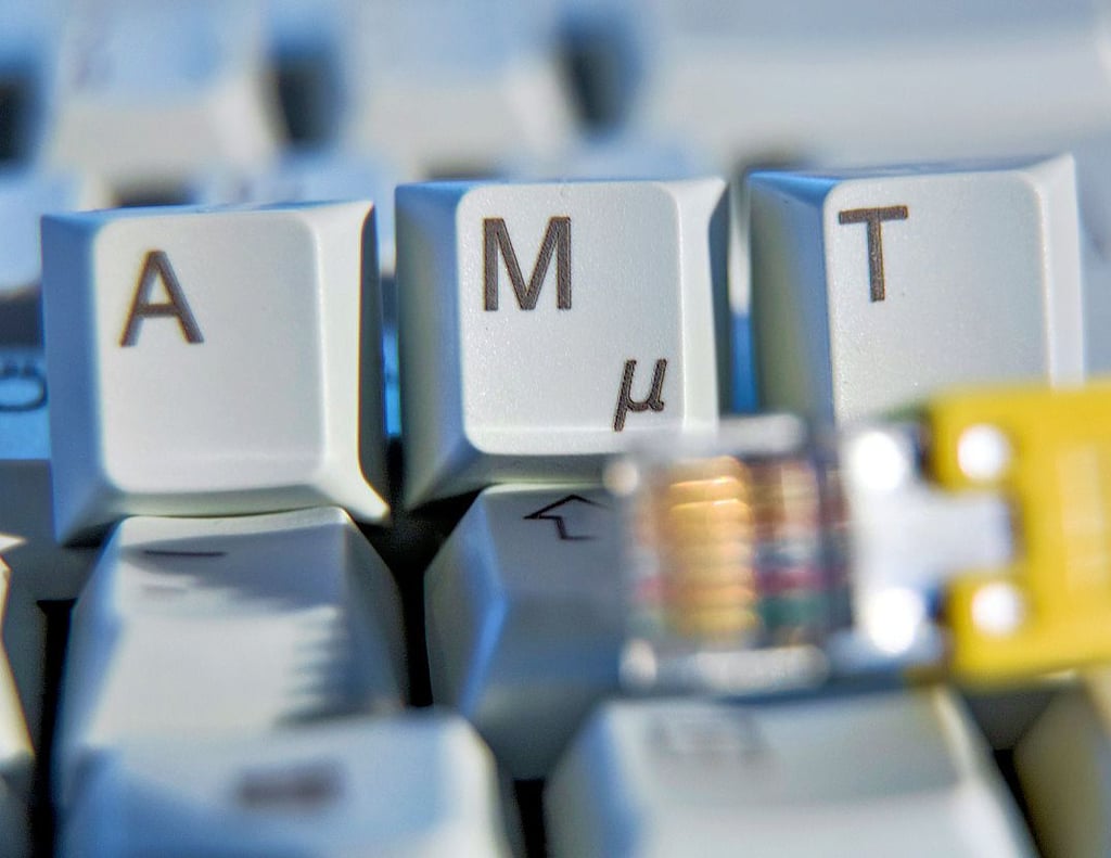 Die Stadt Oschersleben geht bald den Weg des „digitalen Rathauses“. Dann ist das „Amt“ hier auch online erreichbar.
