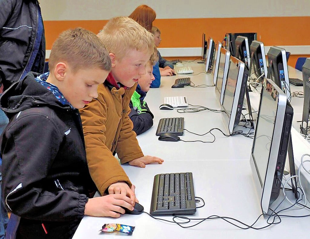 Die digitale Ausstattung an der Dardesheimer Schule ist in der Coronazeit vorangekommen, nicht nur im Computerkabinett.