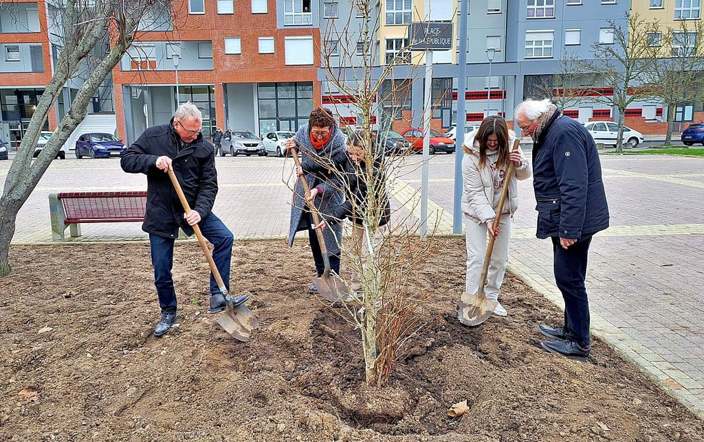 Einen Gingko als Baum der Freundschaft pflanzten Bürgermeisterin Corinne Ollivier (2.v.l.) und OB Armin SChenk (l.) mit zwei französischen Collège-Schülerinnen und Fritjof Wilken aus Rendsburg.