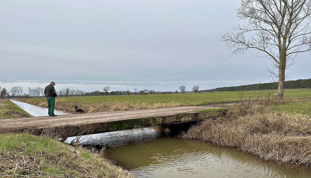Volle Gräben im Jerichower Land. Auch der Fiener-Hauptgraben bei Genthin ist gut mit Wasser gefüllt.