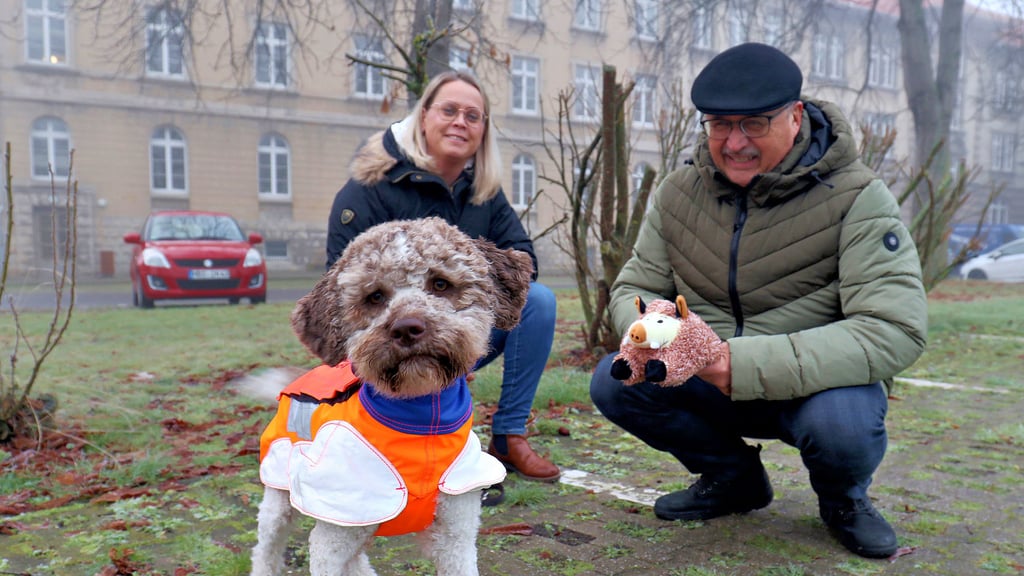 Amtstierarzt Dr. Rainer Miethig überrascht Stefanie Pieles und Hündin Leni mit einem Plüsch-Wildschwein. Der frisch ausgebildete Kadaversuchhund kommt nach Ausbruch der Afrikanischen Schweinepest in schwer zugänglichen Gebieten zum Einsatz.