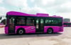 Ein pinkfarbener Bus auf einem Busparkplatz: Nur Frauen und Mädchen dürfen mitfahren.