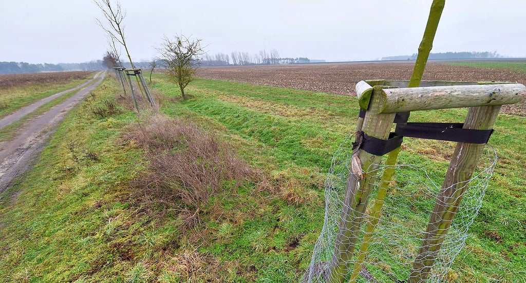 Auf einer Fläche von rund 100 Hektar soll die Anlage entstehen.