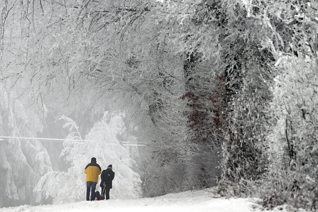 Schnee liegt auf den Ästen der Bäume auf dem Weißen Stein in der Eifel. In der Nacht zu Freitag herrscht laut DWD-Prognose im Bergland weiter Glättegefahr durch Schneefall.