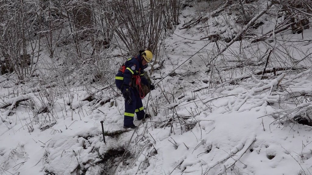 Einsatzkräfte legen Sprengladungen an den Bäumen im Harz an.