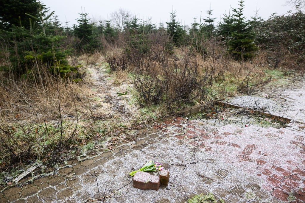 Blumen liegen auf einem Brachgelände in Wunstorf-Blumenau, wo die Leiche eines 14-jährigen Jungen gefunden worden war.
