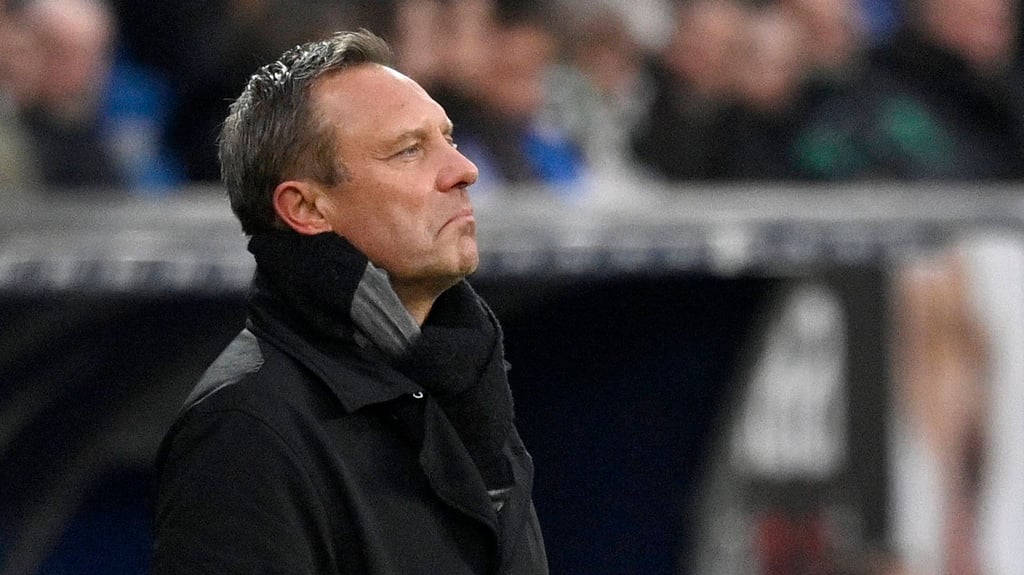 Hoffenheims Trainer André Breitenreiter verteidigt seine Mannschaft gegen die Kritik der Fans.