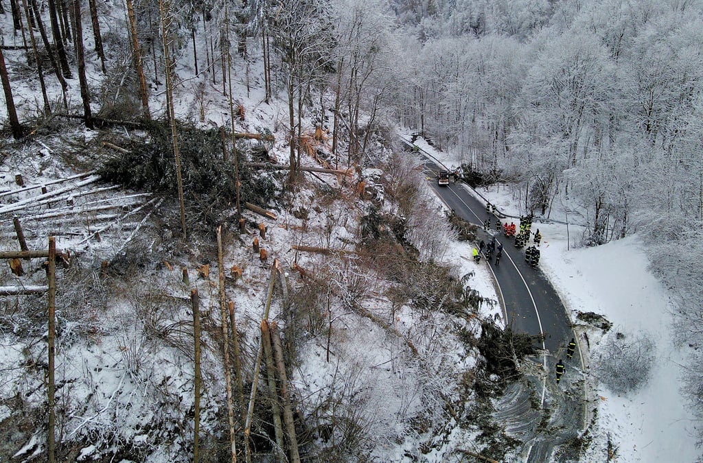Das Bild nach der Sprengung ähnelt der Situation nach einem Sturm: lauter umgestürzte Bäume.
