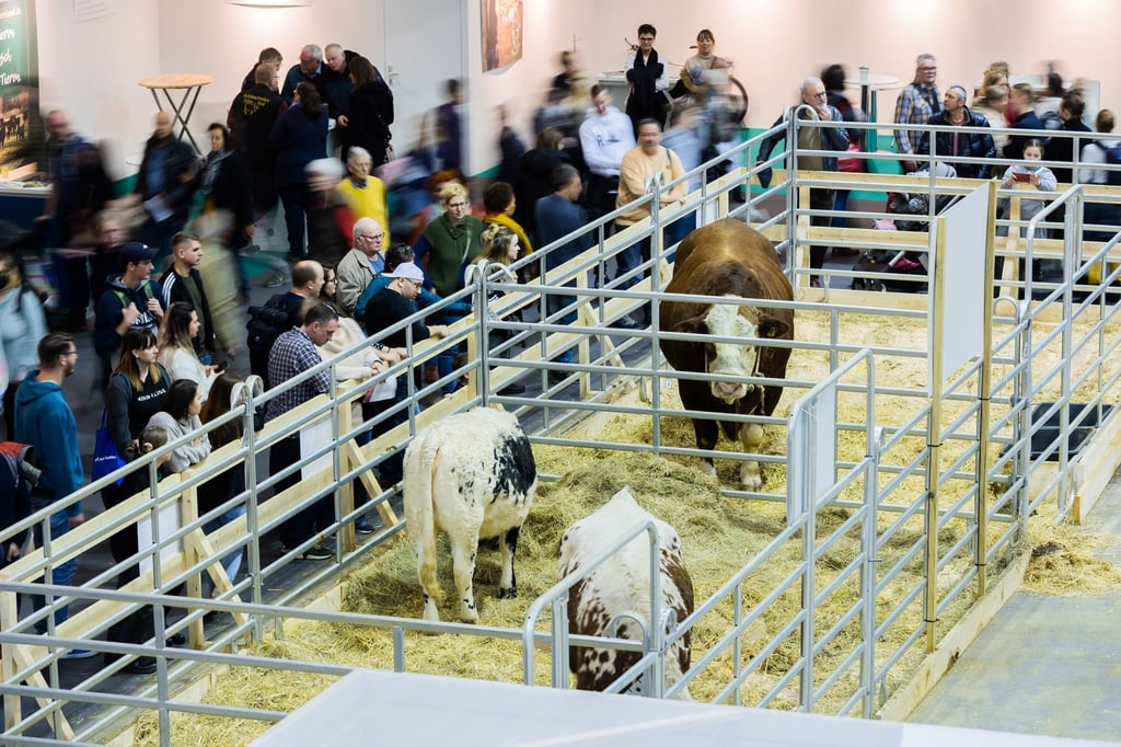 Besucher gehen am letzten Tag der Internationalen Grünen Woche durch die Tierhalle.