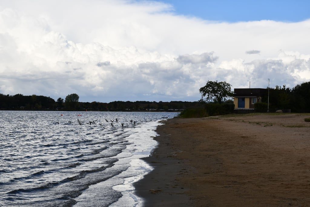 Am Strandbad Barleber See in Magdeburg soll ein Restaurant gebaut werden.