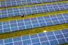 Graue Flächen statt grüner Wiesen - in welchem Maße werden Photovoltaikanlagen auf Freiflächen die Altmark verändern?