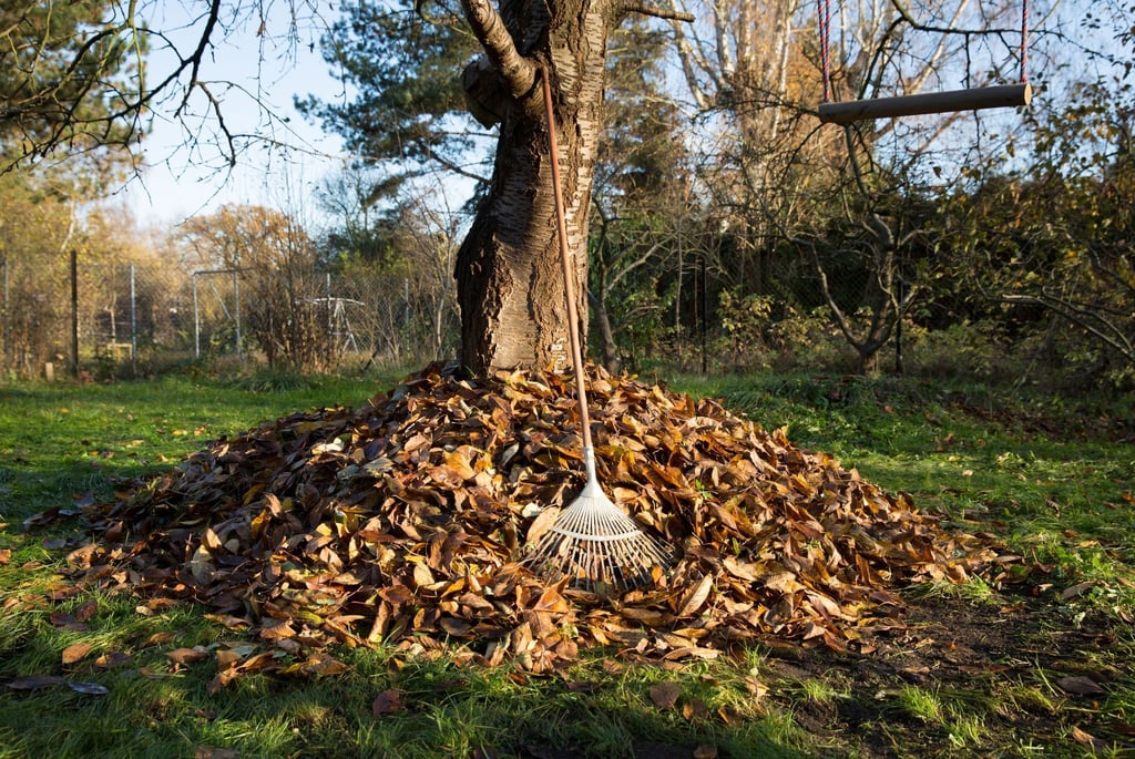 Ab auf den Kompost! Das mühsam zusammengeharkte Herbstlaub wird so zu neuer Erde oder wertvollem Dünger.