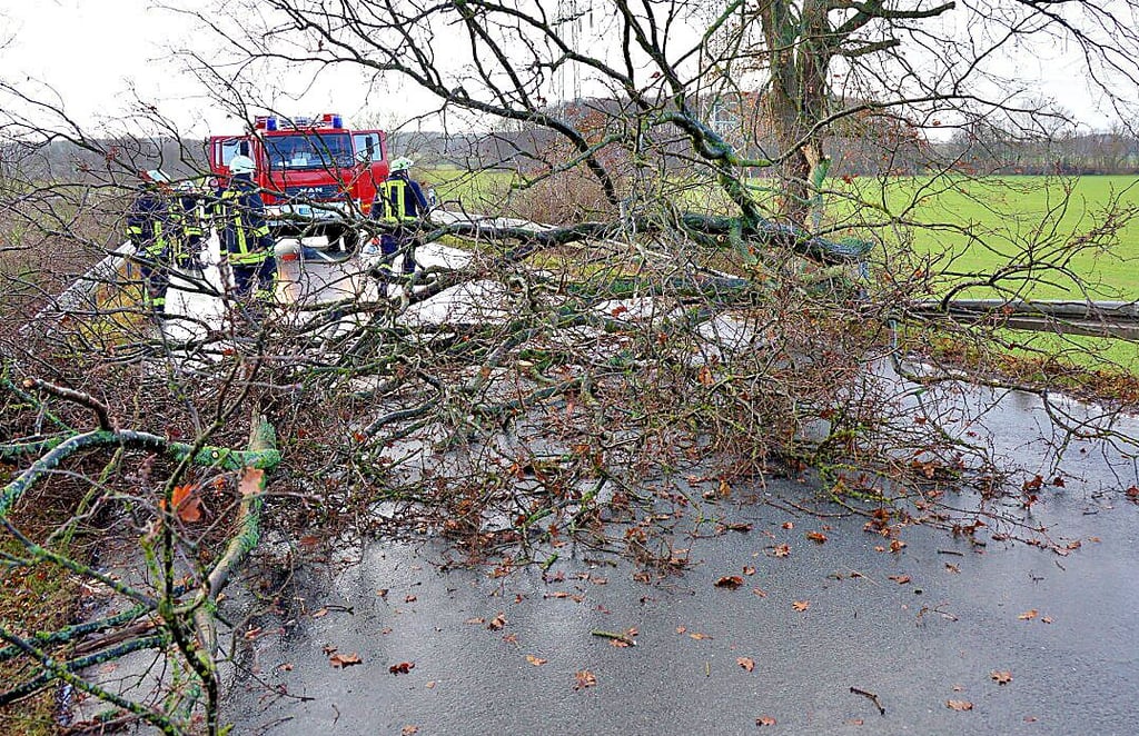 Ein mächtiger Teil einer Baumkrone sorgte am Montagnachmittag in Engersen für einen Einsatz der Feuerwehr.