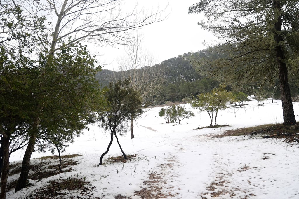 Die Serra de Tramuntana auf Mallorca ist aktuell schneebedeckt.