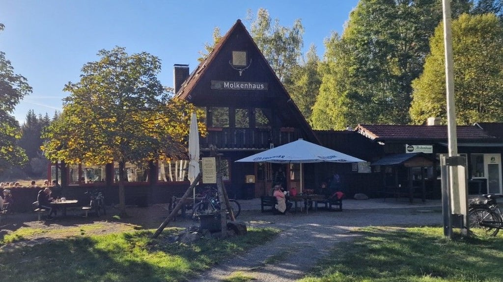 Die Wiederholung der Sendung „Mein Lokal, Dein Lokal“ aus dem Harz hat kein gutes Licht auf das Restaurant Molkenhaus in Bad Harzburg geworfen.
