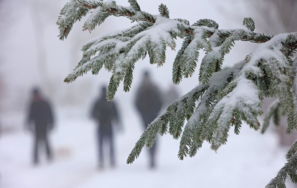 Ein schneebedeckter Tannenzweig hängt über einem Weg, auf dem Wanderer entlang gehen.