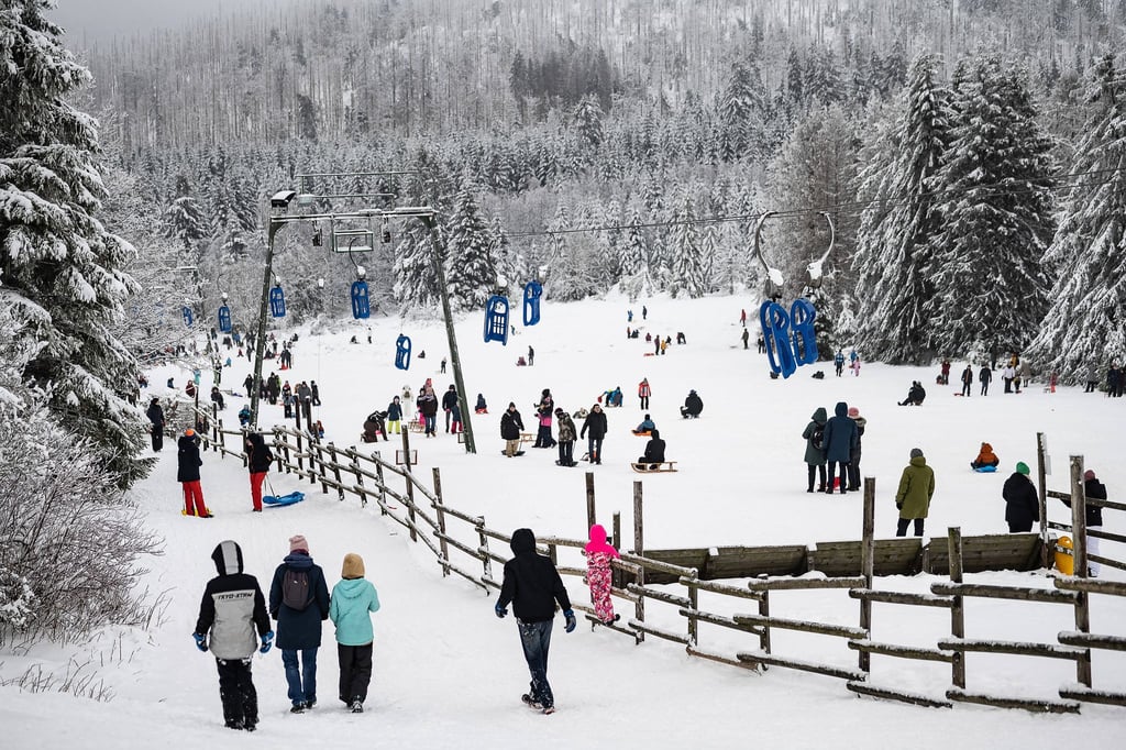 Wintersportler gehen mit ihren Schlitten an einem Rodellift im Harz entlang.