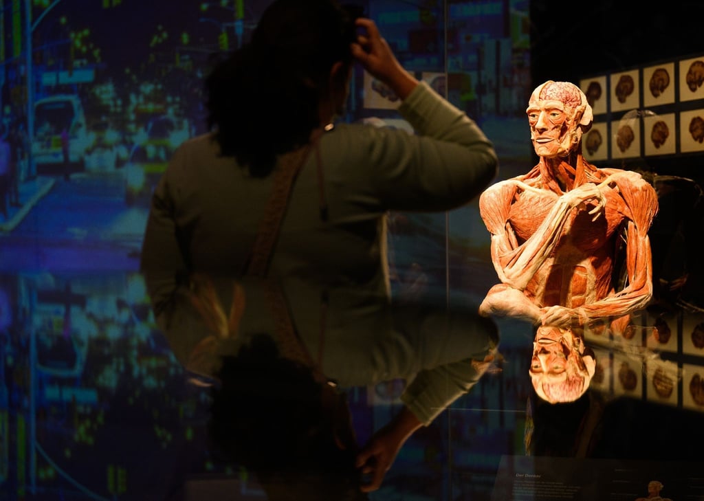 Eine Besucherin betrachtet das Plastinat „Der Denker“ in der Anatomie-Ausstellung "Körperwelten".