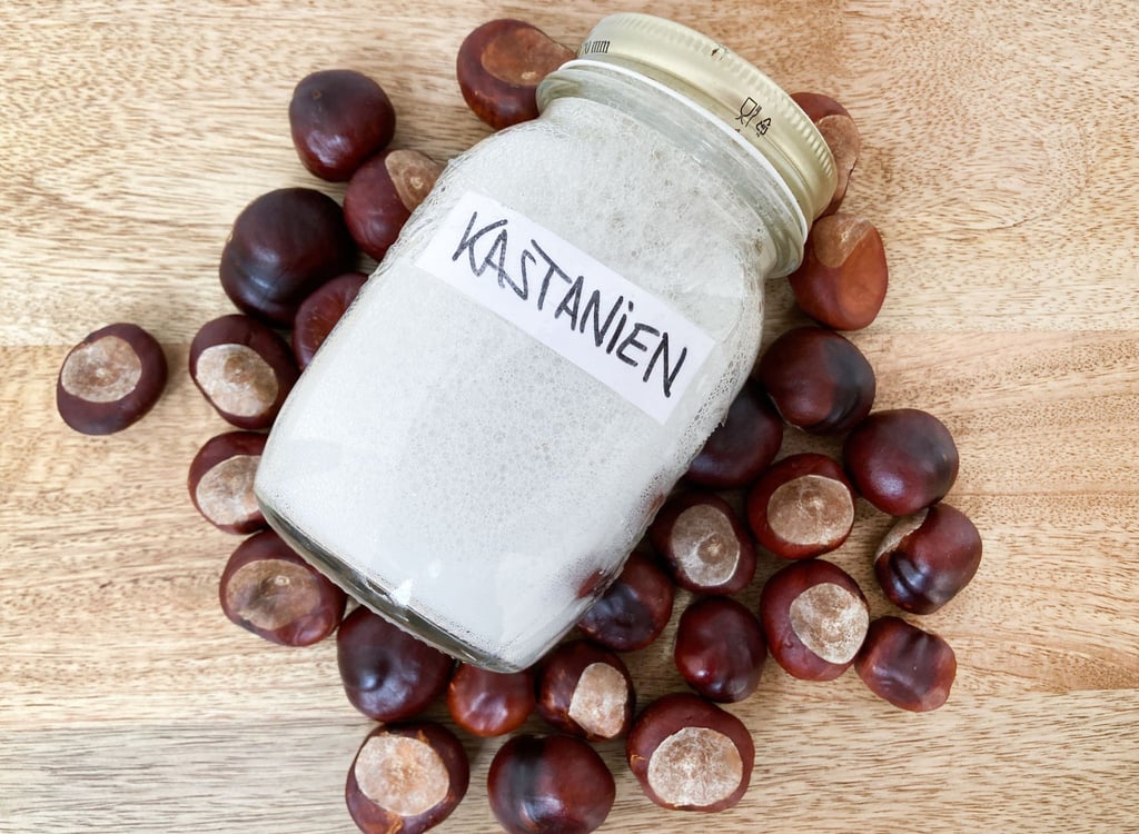 Wer frische Kastanien im Herbst sammelt und zu einem Sud verarbeitet, bekommt ein kostenloses, natürliches Waschmittel.