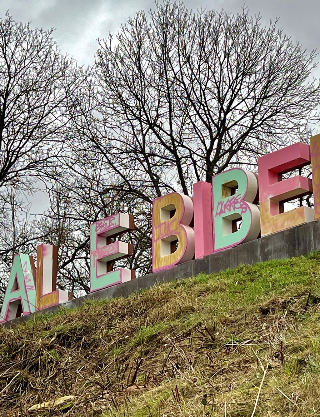 Erneut wurde der Schriftzug "Alte Bibel" im Stadtpark in Bernburg attackiert, so stark, dass das „T“ abgebaut werden musste.