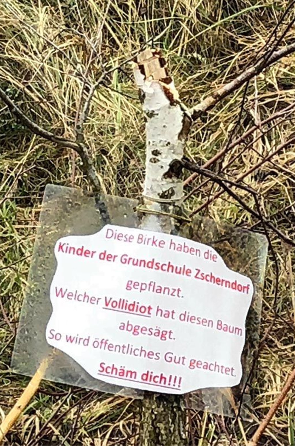 Die Tat von Vandalen