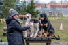 Christiane Saalfeld betreut in ihrer Hundeschule in Petersberg täglich bis zu zehn Vierbeiner. Auf dem Außengelände können sie sich austoben.