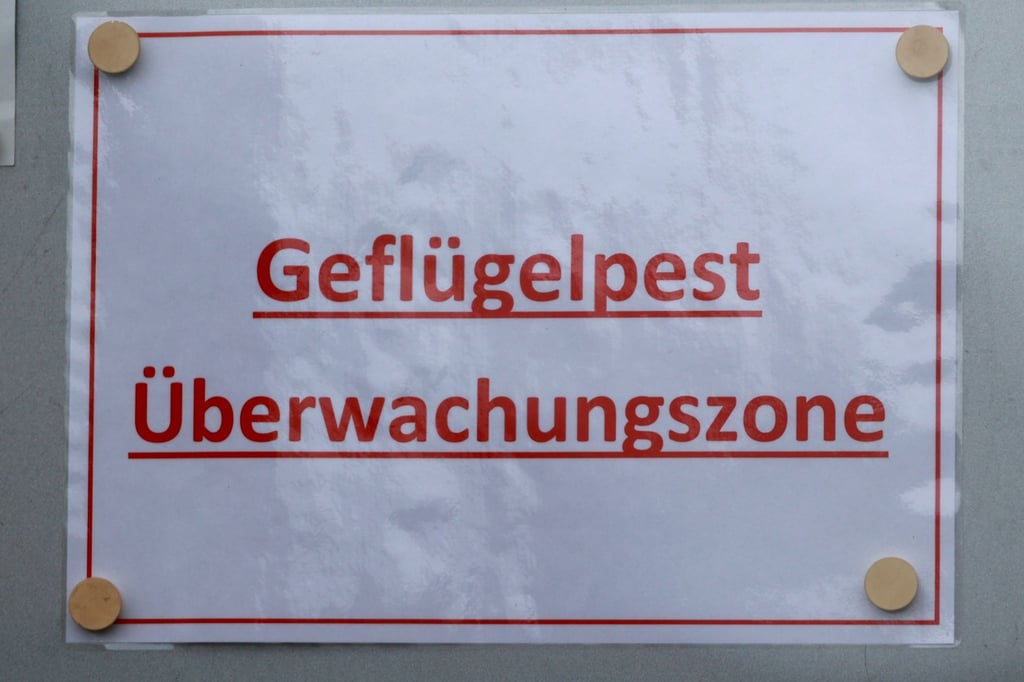 „Geflügelpest Überwachungsgebiet“ steht auf einem Schild.