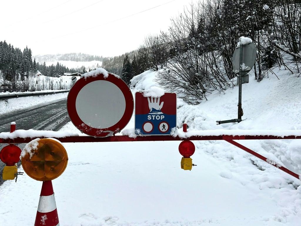 Die jüngsten Schneefälle in Österreich haben zu großer Lawinengefahr und erheblichen Behinderungen auf den Straßen geführt.