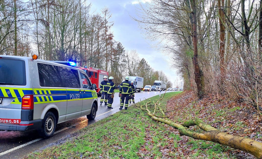 Nur wenige Stunden vor der Jahresversammlung waren Osterburger Feuerwehr-Einsatzkräfte an der B 189, Höhe Am Mühlenberg, im Einsatz. Dort mussten sie einen umgestürzten Baum beseitigen.